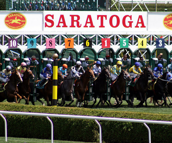 starting gate at saratoga race course